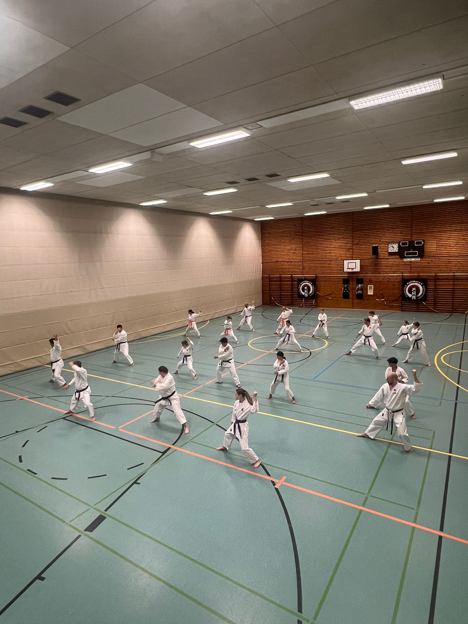 E IMG-20250628-WA0029